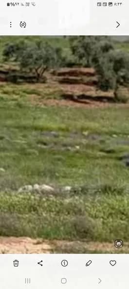 Background Blur