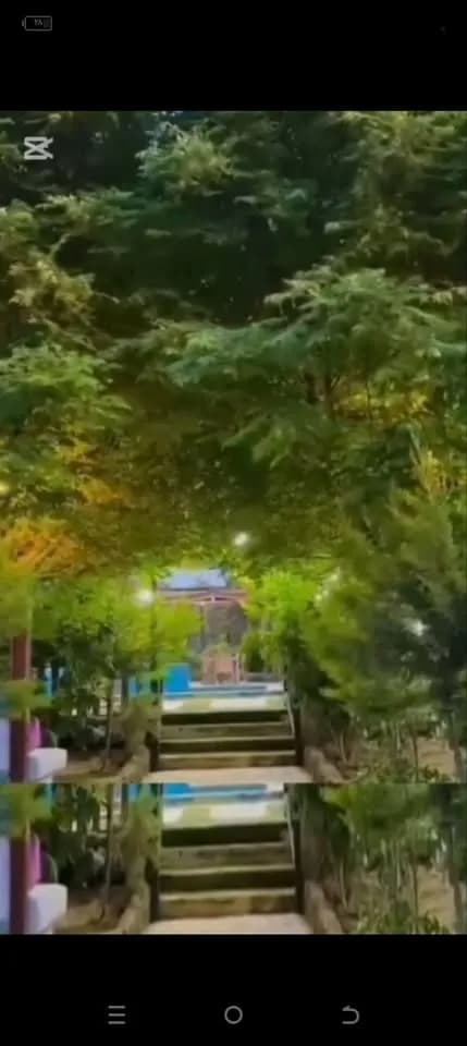 Background Blur