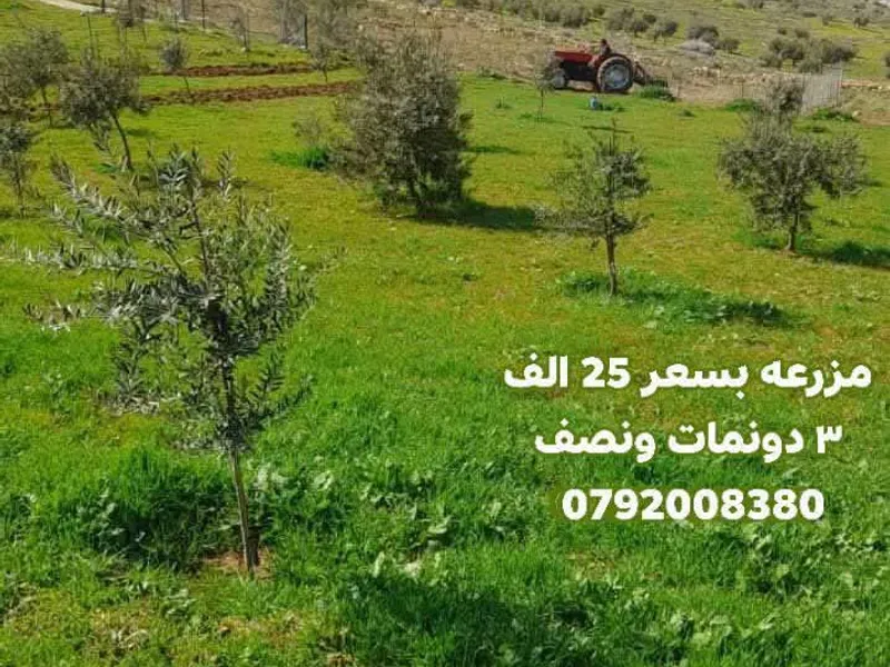 مزرعه مشجره جاهزه بسعر 25 الف منطقه حمامه نادره